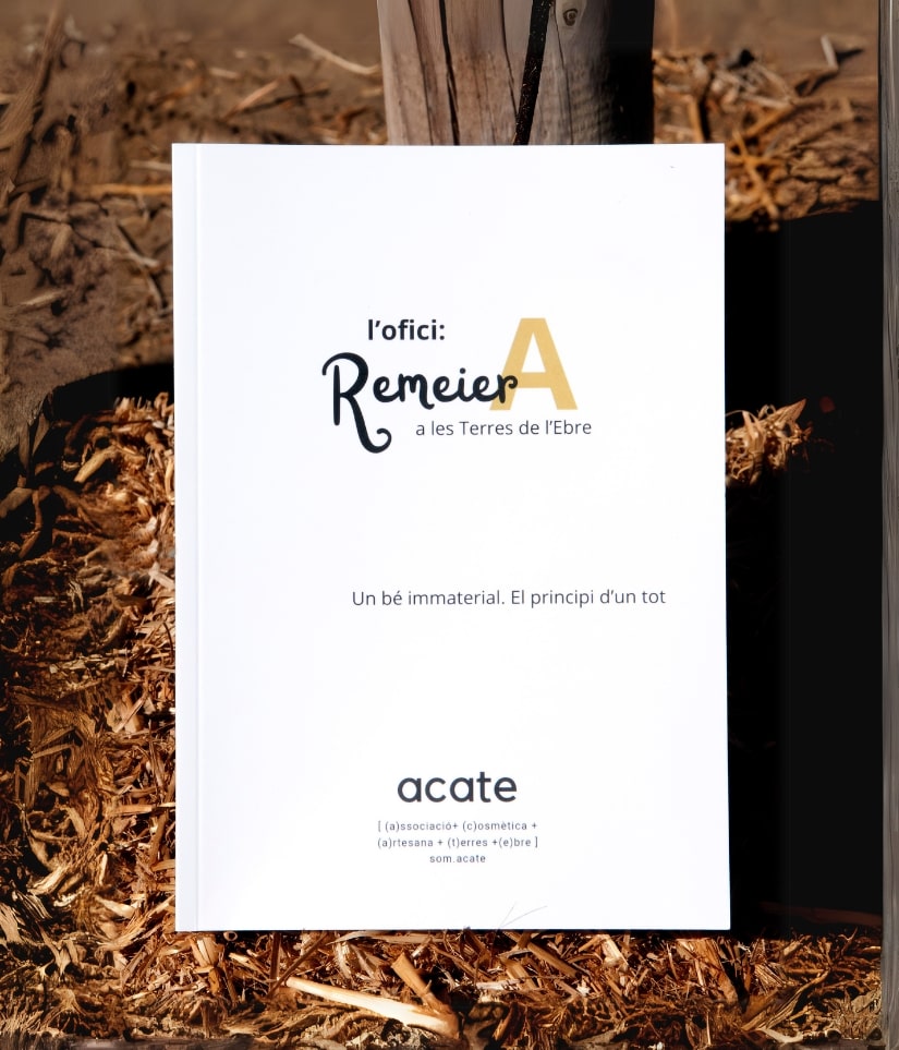 Llibre publicat: “L’ofici de remeier a les Terres de l’Ebre”.